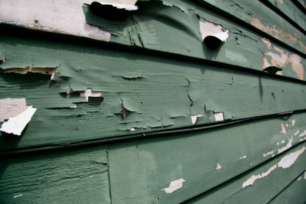 Best Recycling Services for Junk  in Rochester Institute Of Technology, NY
