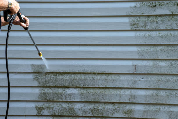  Rochester Institute Of Technology, NY Junk Removal Pros